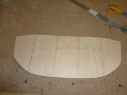 Canopy (102)